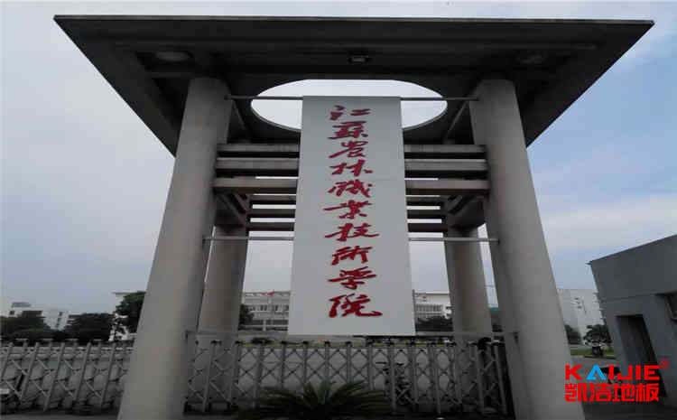 拼裝籃球館地板防潮